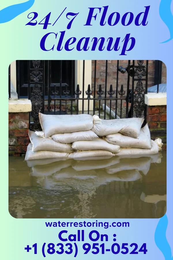 24/7 Flood Cleanup in Woodland Mills, TN