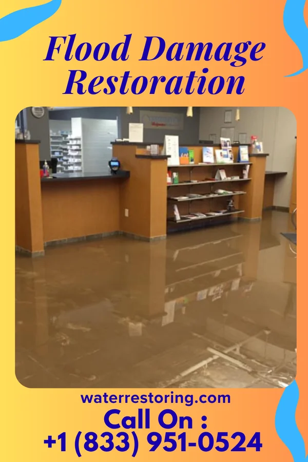 Flood Damage Restoration in Woodland Mills, TN