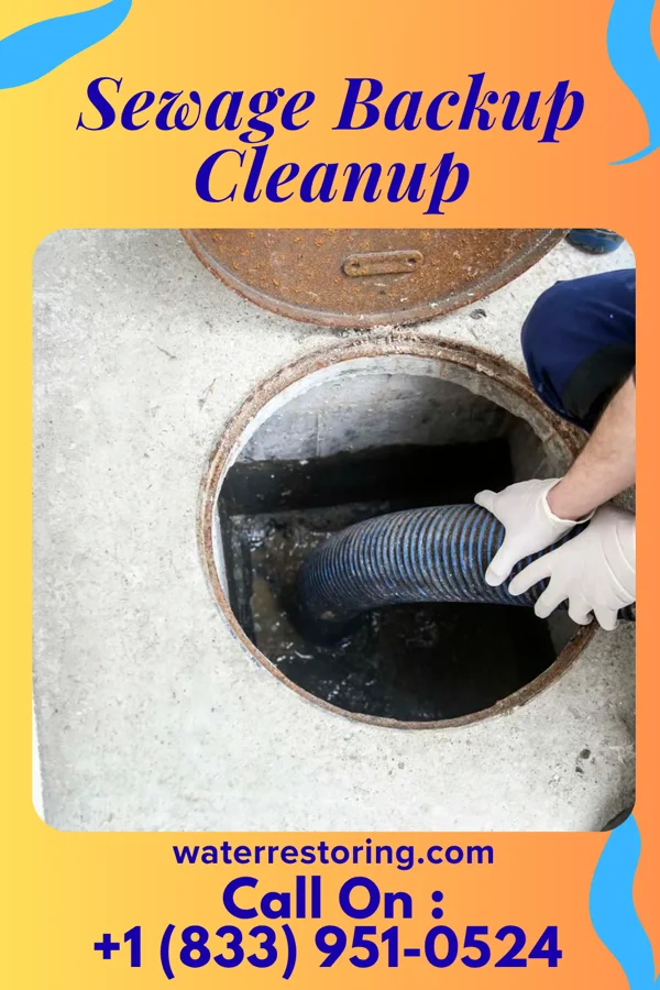 Sewage Backup Cleanup in Woodland Mills, TN