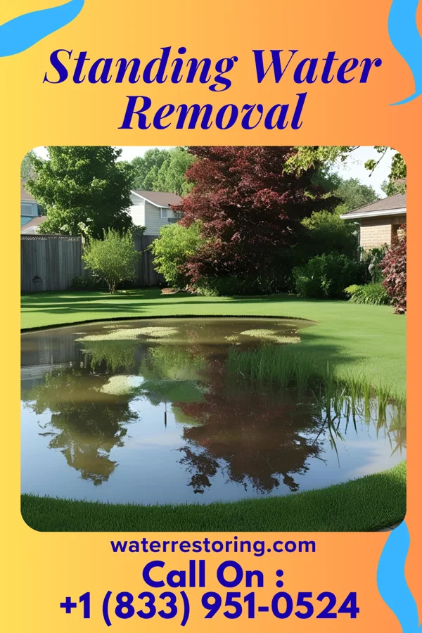 Standing Water Removal in Woodland Mills, TN